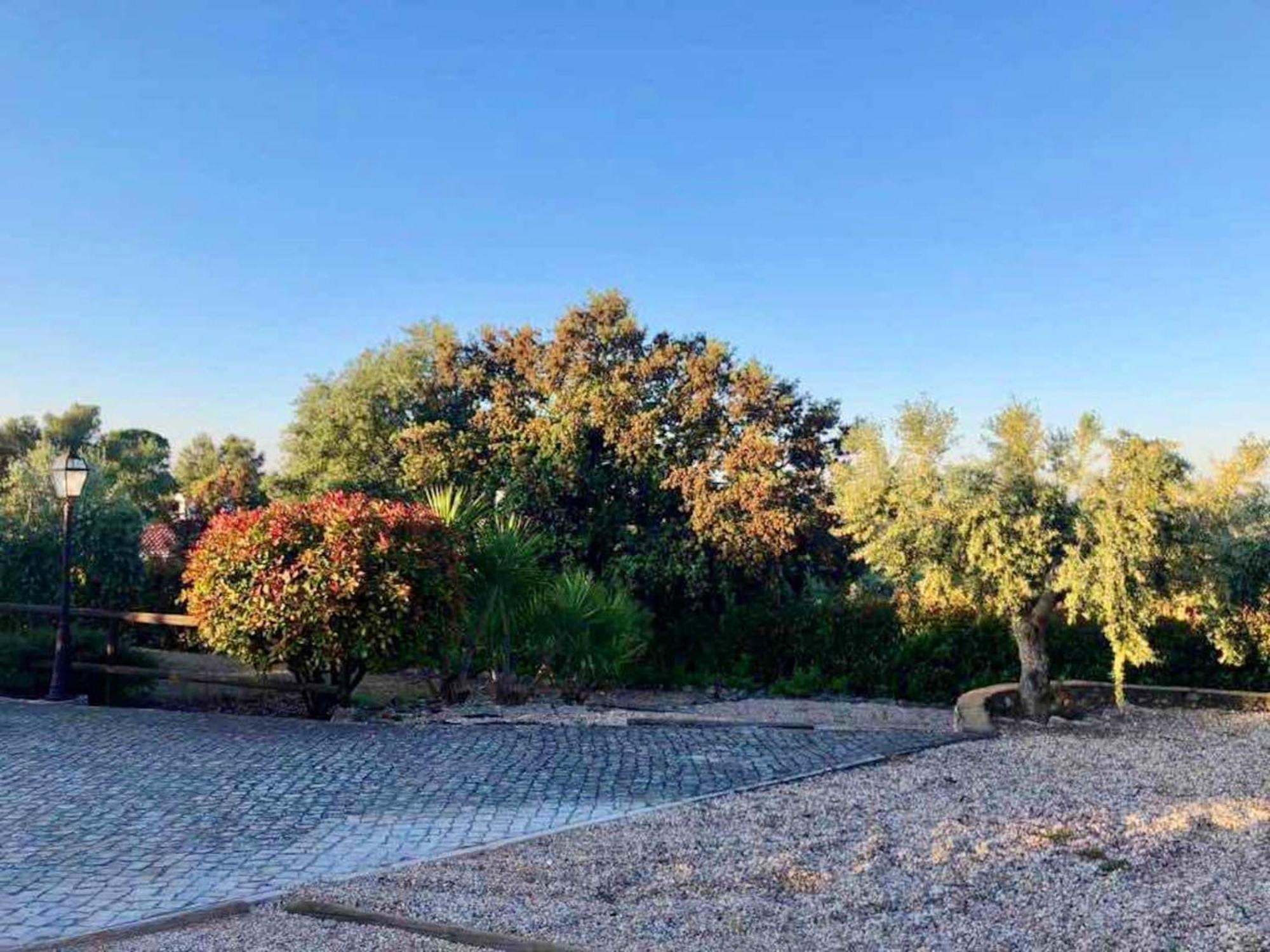 Charming Villa In Casais De Sao Bras Екстер'єр фото